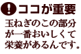 玉ねぎ下