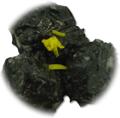 里芋の練りごま和え