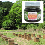  純国産はちみつ