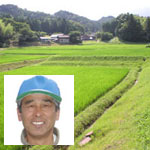 有機JAS認定ちから米