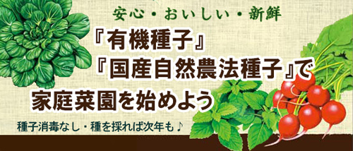 有機種子で家庭菜園