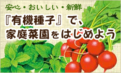 有機種子・自然農法種子で家庭菜園