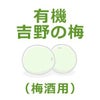 有機・吉野の梅（梅酒梅） 5kg｜ムソー 