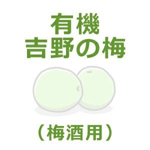 有機・吉野の梅（梅酒梅） 5kg｜ムソー 