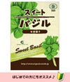 有機種子 スイートバジル 約280粒