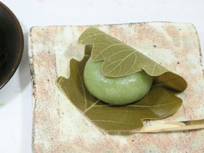 HIOKA かしわもち・よもぎ50g×5個〔春〕