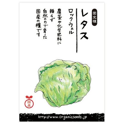 国産・自然農法種子 レタス（ロックウェル） 約120粒