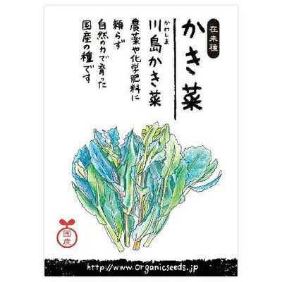国産・自然農法種子 川島かき菜 約500粒