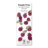 フェアトレード・板チョコ（ラズベリー）People Tree 50g｜フェアトレードカンパニー