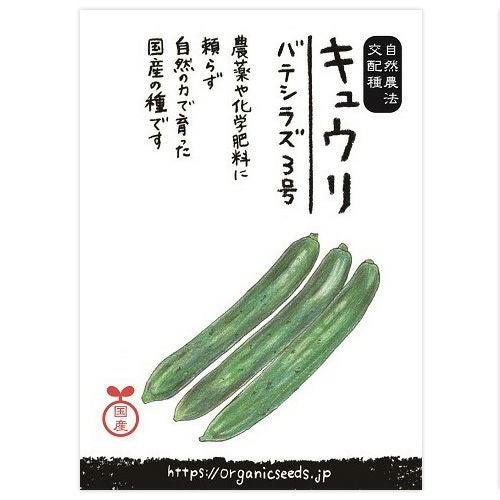 国産・自然農法交配種 キュウリ バテシラズ3号 0.25ml・約10粒