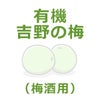 有機・吉野の梅（南高梅・梅酒用） 5kg｜ムソー