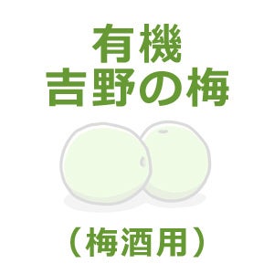 有機・吉野の梅（南高梅・梅酒用） 5kg｜ムソー