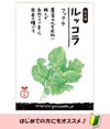 国産・自然農法種子 国産ルッコラ(フックラ) 約400粒 【３～６月蒔き】【8～10月蒔き】｜ナチュラルライフステーション