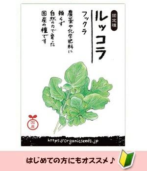 国産・自然農法種子 国産ルッコラ(フックラ) 約400粒 【３～６月蒔き】【8～10月蒔き】｜ナチュラルライフステーション