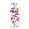 People Tree （有機デーツ＆フィグ） フェアトレード・板チョコ 50g｜フェアトレードカンパニー