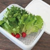 エンバランス レクタングルコンテナ ＜ホワイト＞ XL 2100ml （ザル付き） １個