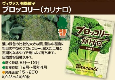 有機種子（ポルトガルVIVAS） ブロッコリー カリナノ 約60粒