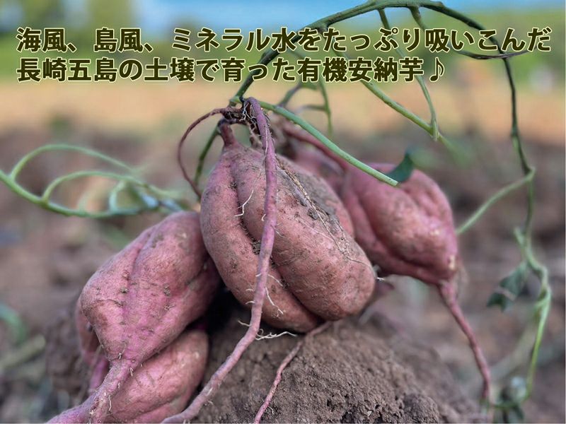 なちゅらる生活 野菜サクッチ・安納芋 チップス（有機安納芋使用） 28g