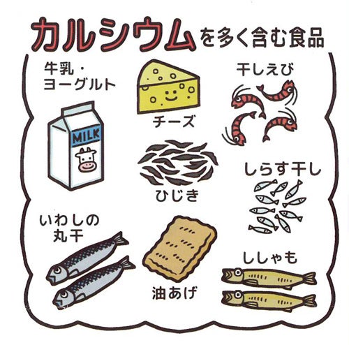 カルシウムを多く含む食品